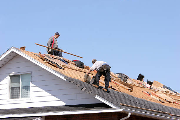 Best Roof Installation  in Little Canada, MN